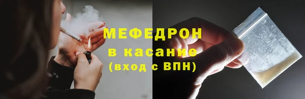 индика Аркадак