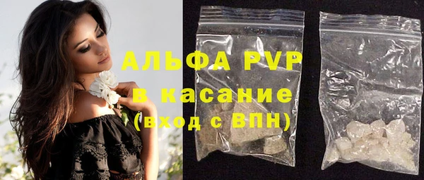индика Аркадак