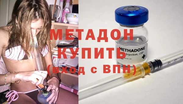 индика Аркадак