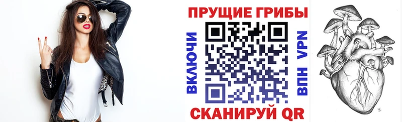Галлюциногенные грибы Cubensis  Колпашево 